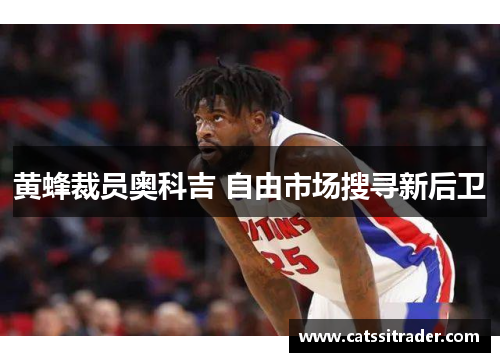 黄蜂裁员奥科吉 自由市场搜寻新后卫